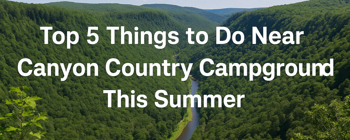 Top 5 Things To Do Near Canyon Country Campground