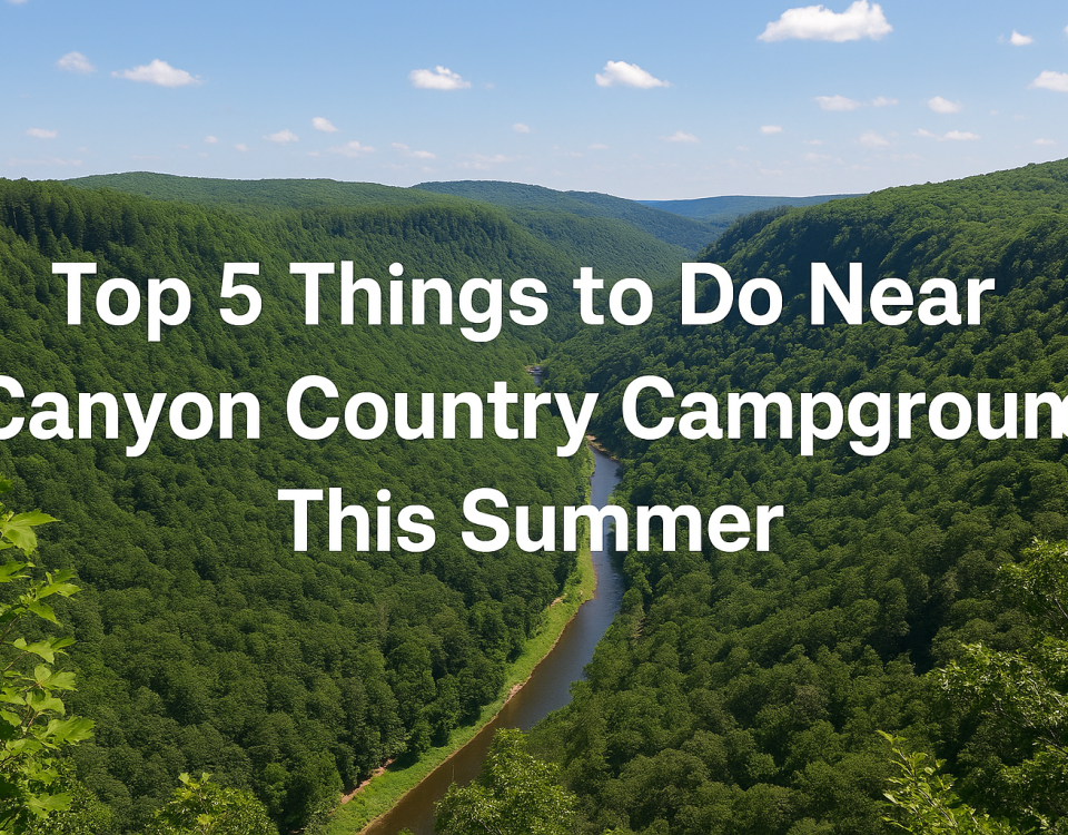 Top 5 Things To Do Near Canyon Country Campground